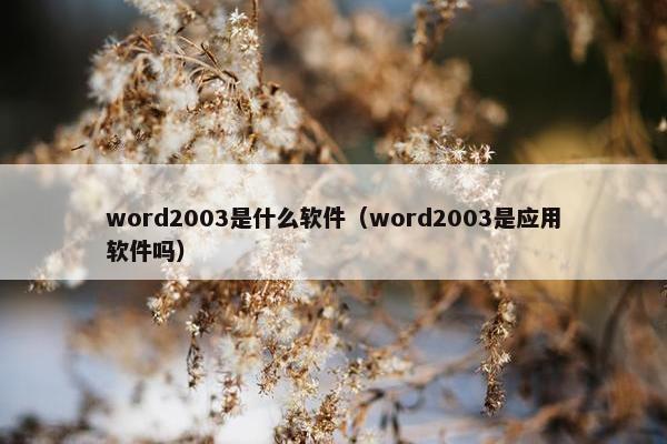 word2003是什么软件（word2003是应用软件吗）