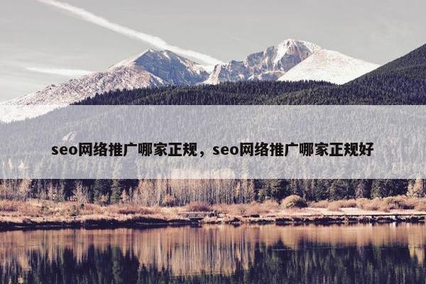 seo网络推广哪家正规，seo网络推广哪家正规好