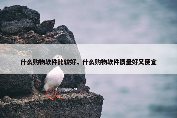 什么购物软件比较好，什么购物软件质量好又便宜