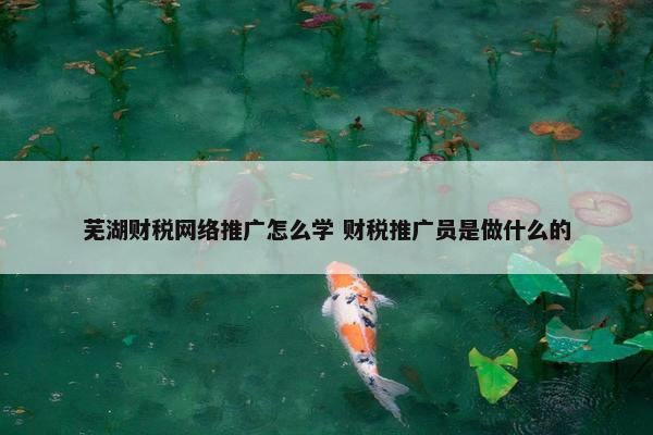 芜湖财税网络推广怎么学 财税推广员是做什么的