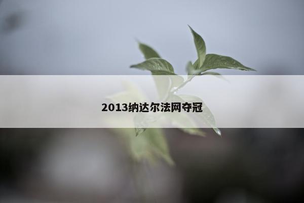 2013纳达尔法网夺冠