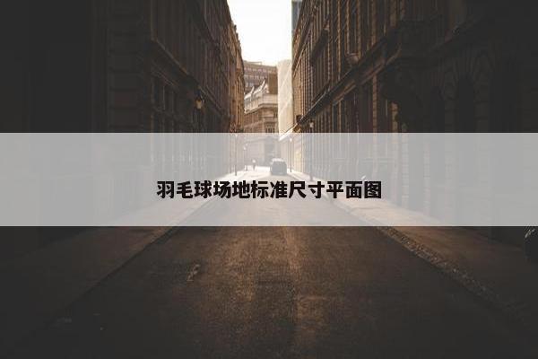 羽毛球场地标准尺寸平面图