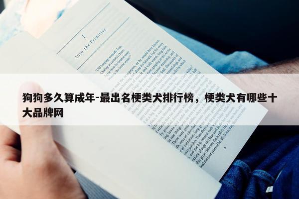 狗狗多久算成年-最出名梗类犬排行榜，梗类犬有哪些十大品牌网