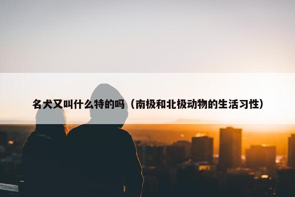 名犬又叫什么特的吗（南极和北极动物的生活习性）