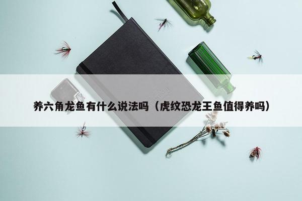 养六角龙鱼有什么说法吗（虎纹恐龙王鱼值得养吗）