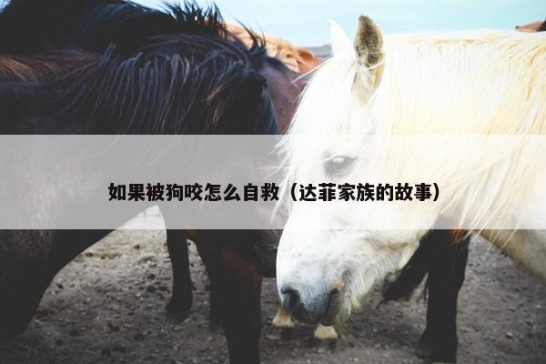 如果被狗咬怎么自救（达菲家族的故事）