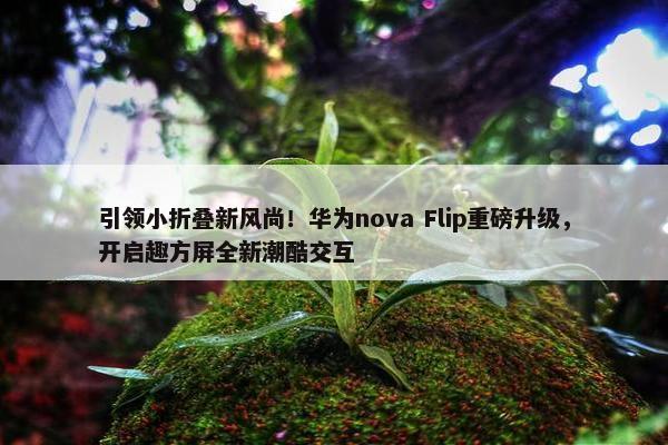 引领小折叠新风尚！华为nova Flip重磅升级，开启趣方屏全新潮酷交互