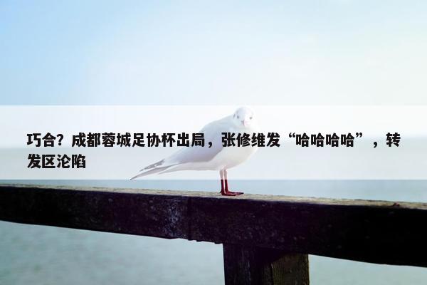 巧合？成都蓉城足协杯出局，张修维发“哈哈哈哈”，转发区沦陷