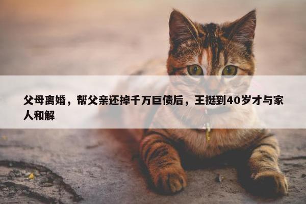 父母离婚，帮父亲还掉千万巨债后，王挺到40岁才与家人和解