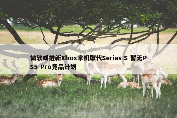 微软或推新Xbox掌机取代Series S 暂无PS5 Pro竞品计划