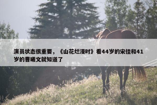 演员状态很重要，《山花烂漫时》看44岁的宋佳和41岁的曹曦文就知道了