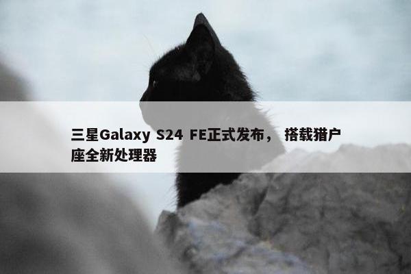 三星Galaxy S24 FE正式发布， 搭载猎户座全新处理器