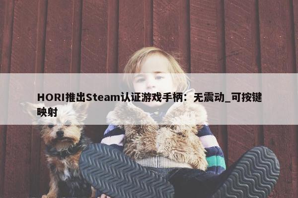 HORI推出Steam认证游戏手柄：无震动_可按键映射