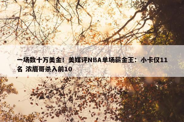 一场数十万美金！美媒评NBA单场薪金王：小卡仅11名 浓眉哥杀入前10