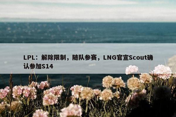 LPL：解除限制，随队参赛，LNG官宣Scout确认参加S14