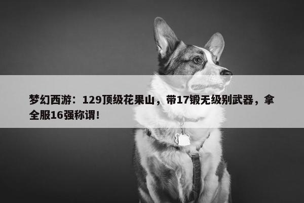 梦幻西游：129顶级花果山，带17锻无级别武器，拿全服16强称谓！