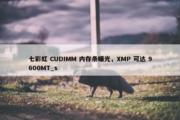 七彩虹 CUDIMM 内存条曝光，XMP 可达 9600MT_s