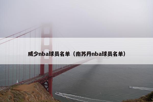 威少nba球员名单（南苏丹nba球员名单）