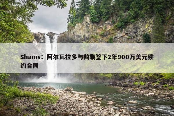 Shams：阿尔瓦拉多与鹈鹕签下2年900万美元续约合同