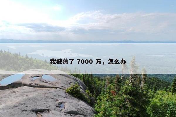 我被薅了 7000 万，怎么办