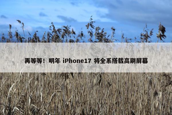 再等等！明年 iPhone17 将全系搭载高刷屏幕