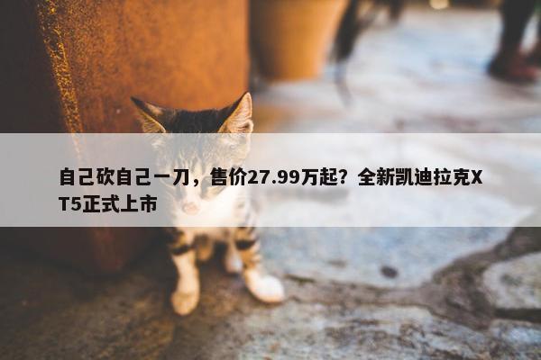 自己砍自己一刀，售价27.99万起？全新凯迪拉克XT5正式上市