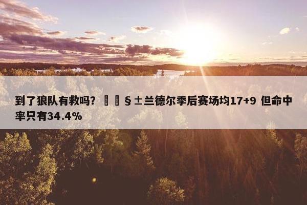 到了狼队有救吗？🧱兰德尔季后赛场均17+9 但命中率只有34.4%