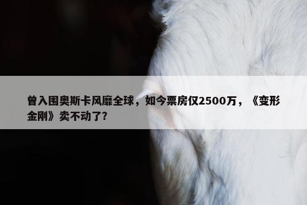 曾入围奥斯卡风靡全球，如今票房仅2500万，《变形金刚》卖不动了？