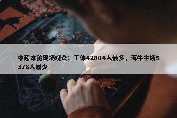 中超本轮现场观众：工体42804人最多，海牛主场5378人最少