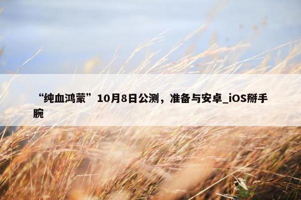 “纯血鸿蒙”10月8日公测，准备与安卓_iOS掰手腕