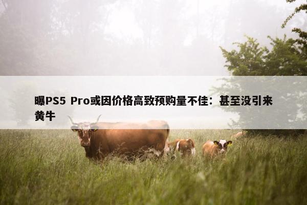 曝PS5 Pro或因价格高致预购量不佳：甚至没引来黄牛