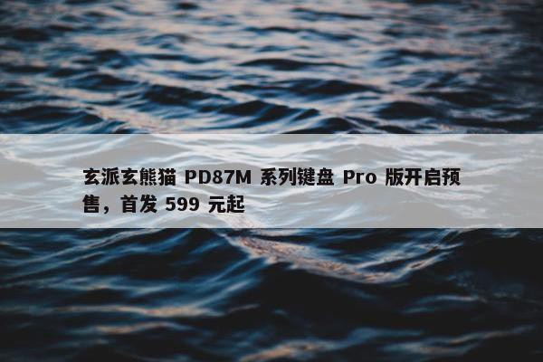 玄派玄熊猫 PD87M 系列键盘 Pro 版开启预售，首发 599 元起