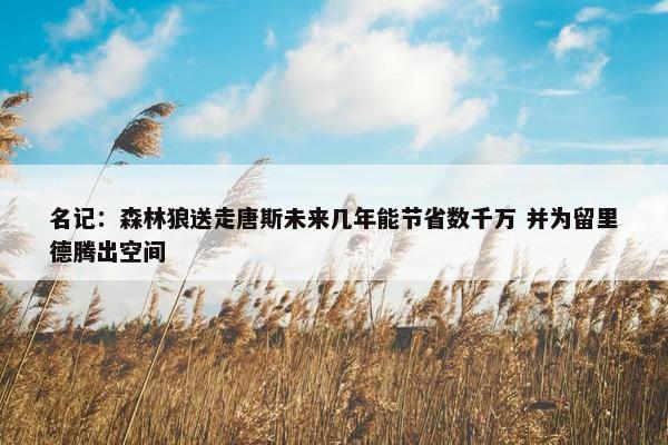 名记：森林狼送走唐斯未来几年能节省数千万 并为留里德腾出空间