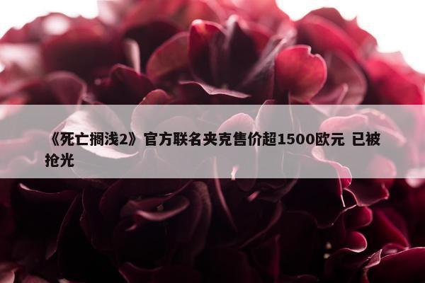 《死亡搁浅2》官方联名夹克售价超1500欧元 已被抢光