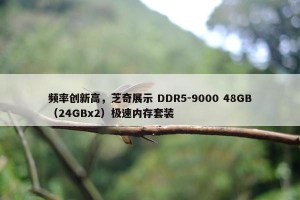 频率创新高，芝奇展示 DDR5-9000 48GB（24GBx2）极速内存套装