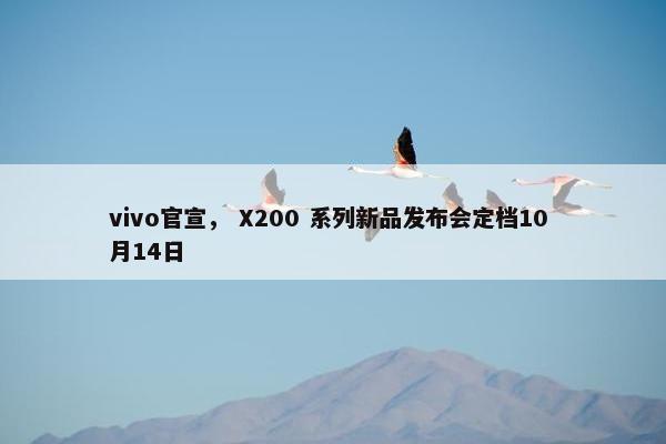 vivo官宣， X200 系列新品发布会定档10 月14日