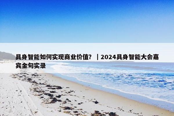 具身智能如何实现商业价值？｜2024具身智能大会嘉宾金句实录