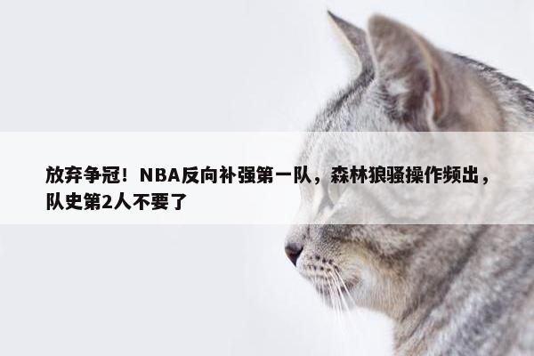 放弃争冠！NBA反向补强第一队，森林狼骚操作频出，队史第2人不要了