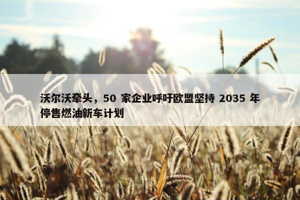 沃尔沃牵头，50 家企业呼吁欧盟坚持 2035 年停售燃油新车计划