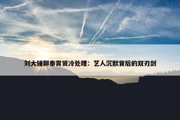 刘大锤聊秦霄贤冷处理：艺人沉默背后的双刃剑