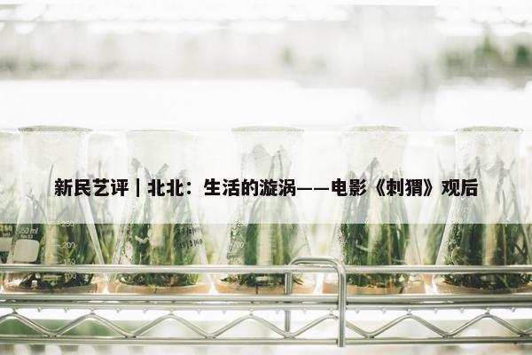 新民艺评｜北北：生活的漩涡——电影《刺猬》观后