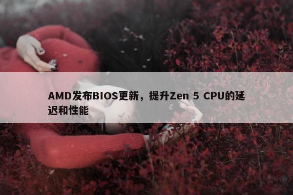 AMD发布BIOS更新，提升Zen 5 CPU的延迟和性能