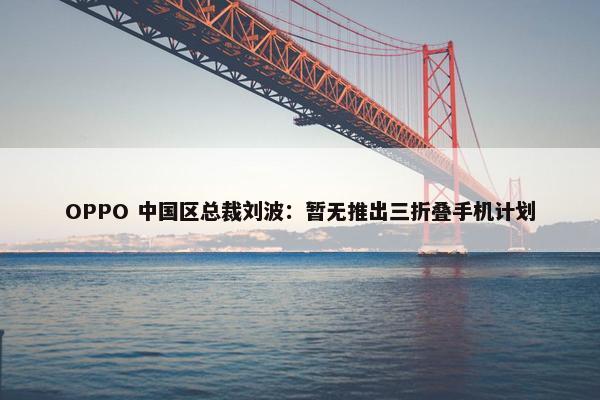 OPPO 中国区总裁刘波：暂无推出三折叠手机计划