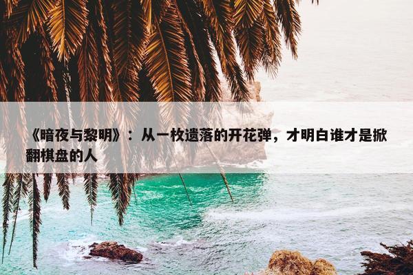 《暗夜与黎明》：从一枚遗落的开花弹，才明白谁才是掀翻棋盘的人