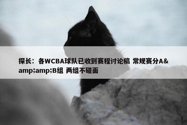 探长：各WCBA球队已收到赛程讨论稿 常规赛分A&amp;B组 两组不碰面