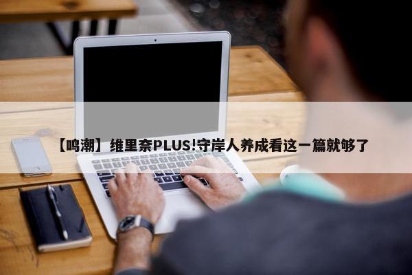 【鸣潮】维里奈PLUS!守岸人养成看这一篇就够了