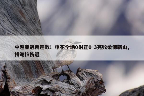 中超亚冠两连败！申花全场0射正0-3完败柔佛新山，特谢拉伤退