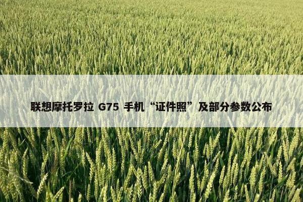 联想摩托罗拉 G75 手机“证件照”及部分参数公布