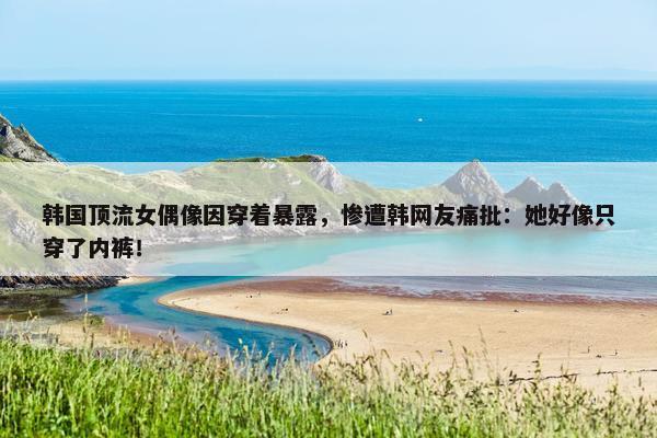 韩国顶流女偶像因穿着暴露，惨遭韩网友痛批：她好像只穿了内裤！