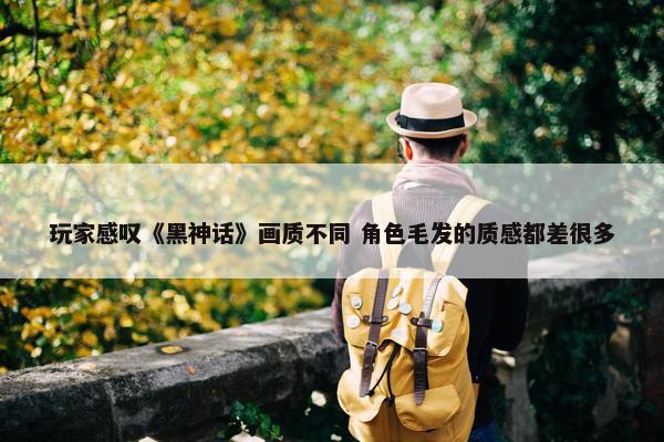 玩家感叹《黑神话》画质不同 角色毛发的质感都差很多